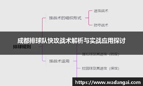 成都排球队快攻战术解析与实战应用探讨