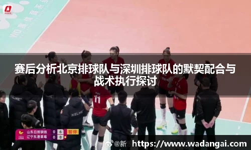 赛后分析北京排球队与深圳排球队的默契配合与战术执行探讨